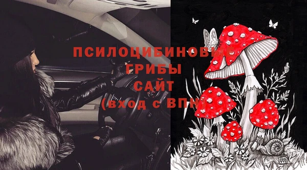 ПСИЛОЦИБИНОВЫЕ ГРИБЫ Богородицк