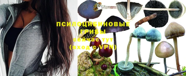 apvp Беломорск