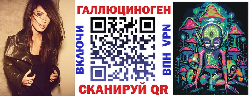 как найти   Кувшиново  Галлюциногенные грибы Psilocybine cubensis 
